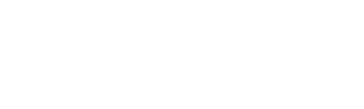Winged Boots